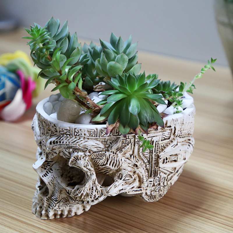 Ancient Skull Plant Pot - Image 3