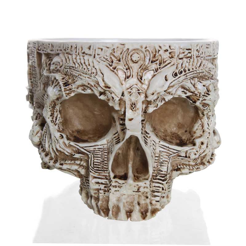 Ancient Skull Plant Pot - Image 6